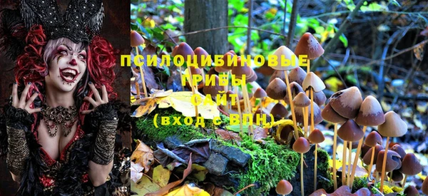 mdpv Балахна