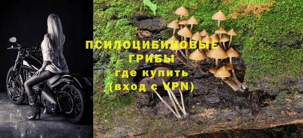 mdpv Балахна