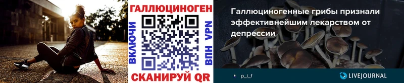 Псилоцибиновые грибы мухоморы  KRAKEN как войти  Тутаев 