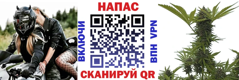 Канабис гибрид  закладка  Тутаев 